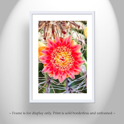 Botanical Art Print with Arizona Desert Wildflower | Barrel Cactus