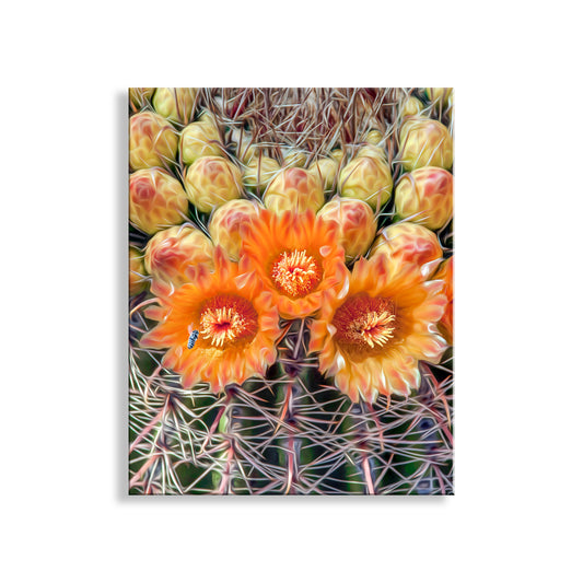Bee and Cactus Flower Print with Desert Barrel Cactus Wildflowers
