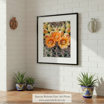 Bee & Barrel Cactus Flower | Arizona Desert Botanical Wall Art