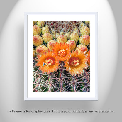 Bee and Cactus Flower Print with Desert Barrel Cactus Wildflowers
