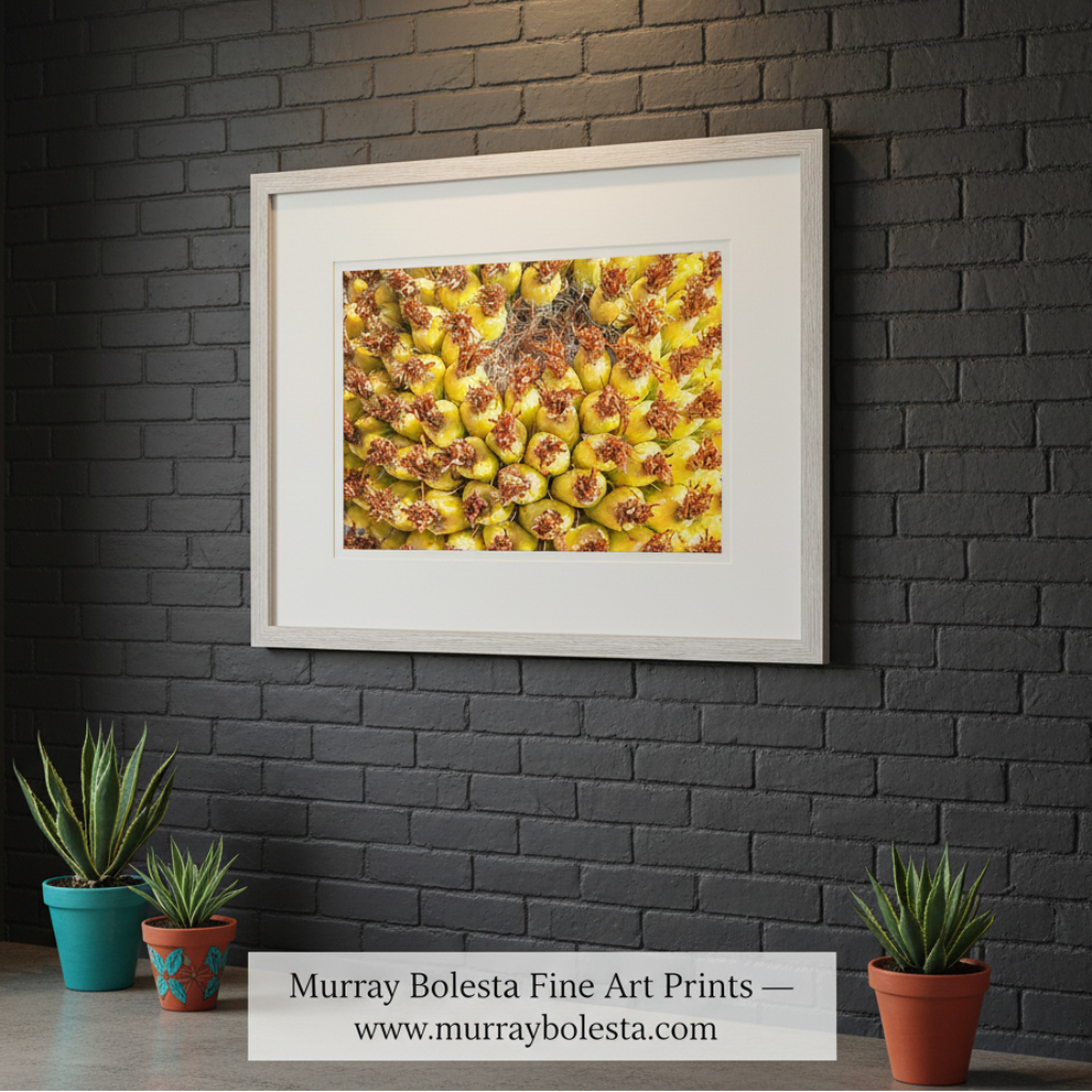 Close-up of a pineapple with a white background. Yellow Cactus Fruit Picture as Bright Vibrant Art Gift from Arizona Desert by Murray Bolesta