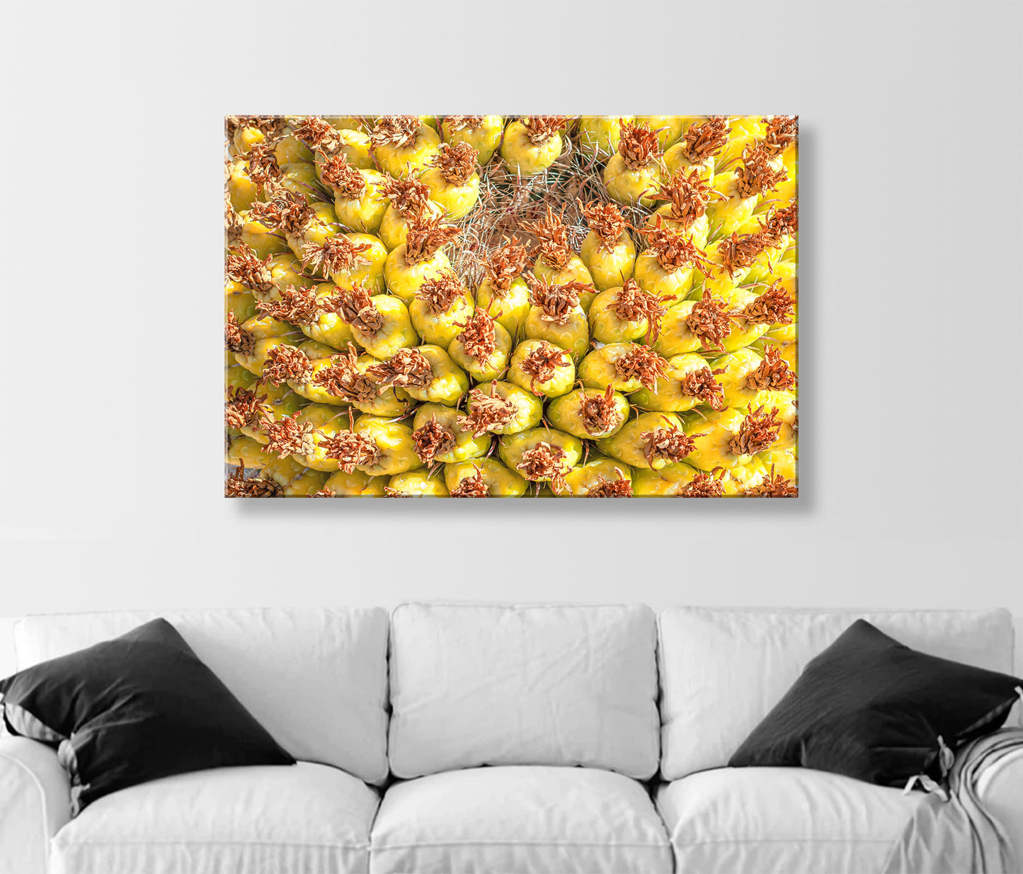Yellow Cactus Fruit Picture as Bright Vibrant Art Gift from Arizona Desert
