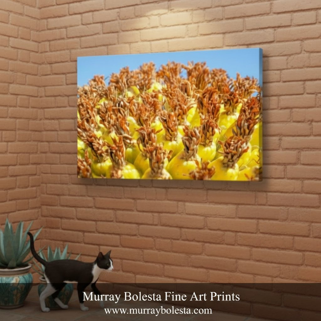 A square canvas wall art print showing a close-up of a bright yellow succulent with brown spiky details under a blue sky, displayed on a tan brick wall in a styled interior setting with potted plants and a bench.
