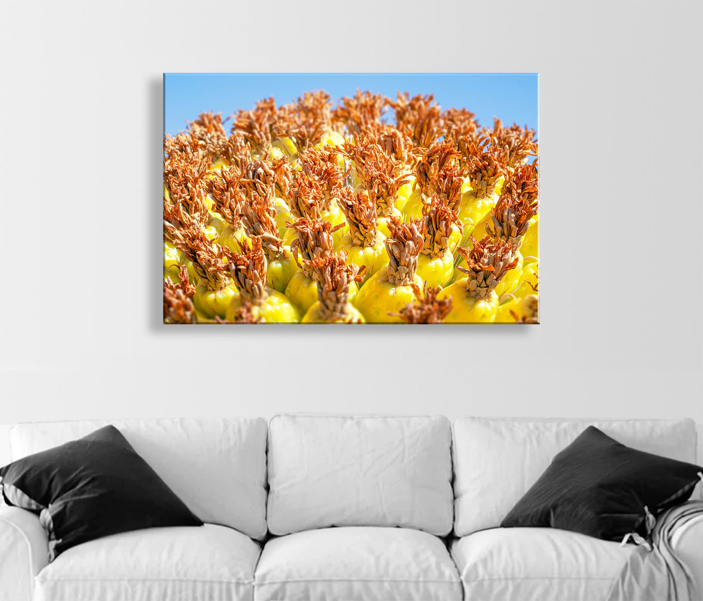 Vibrant Arizona Desert Botanical Wall Print with Yellow Barrel Cactus Fruit