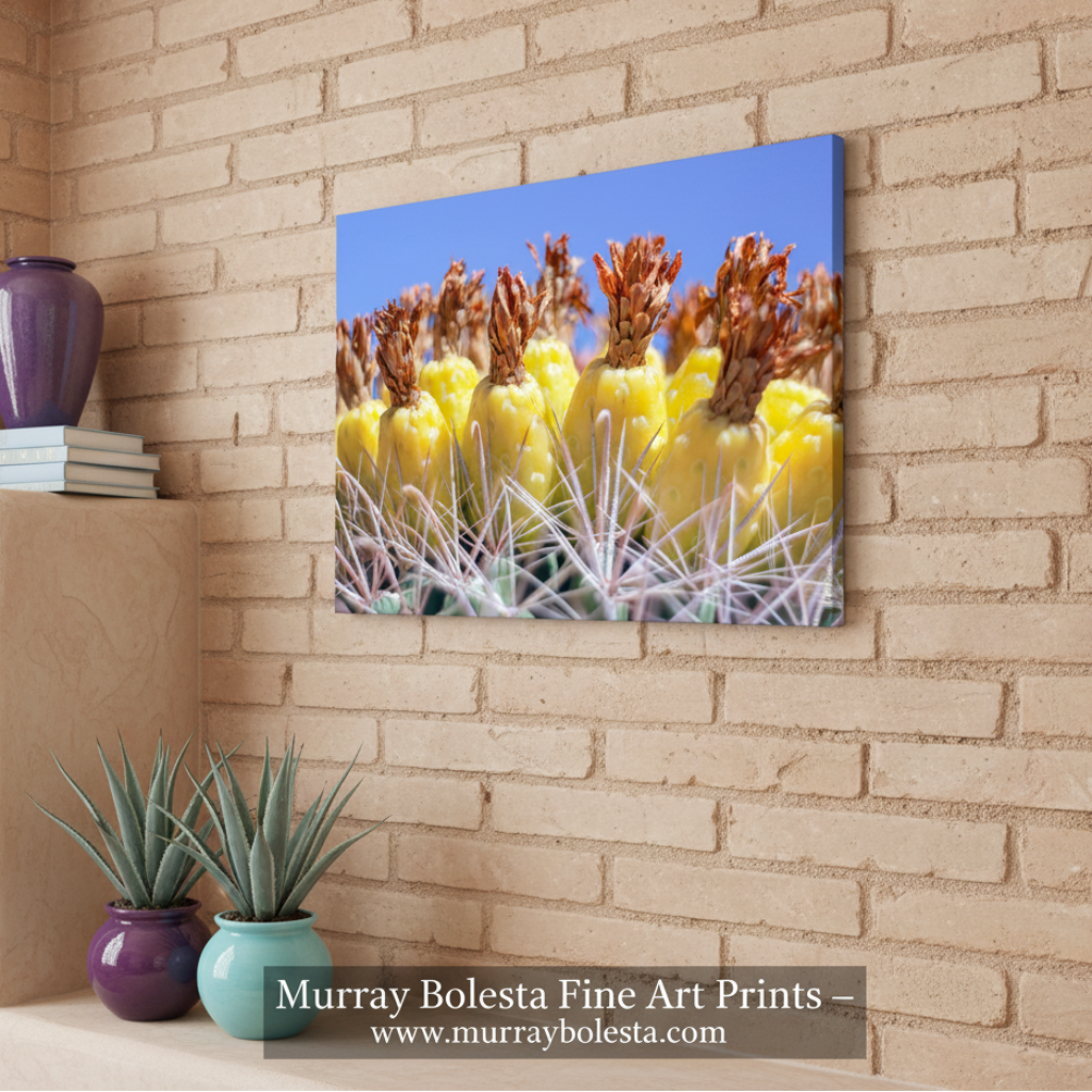 Southwestern Style Wall Art with Yellow Desert Cactus Fruit in Tucson Arizona