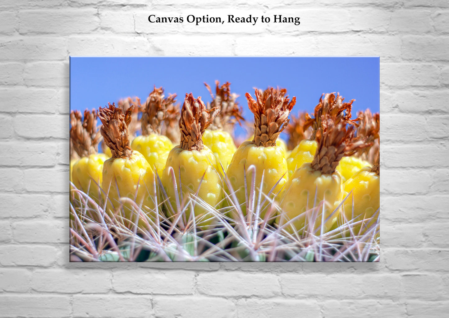 Southwestern Style Wall Art with Yellow Desert Cactus Fruit in Tucson Arizona