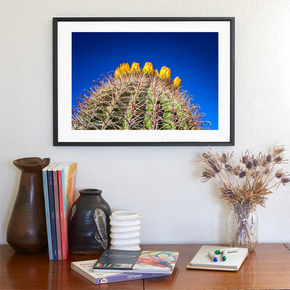 Cactus Flowers in Arizona Desert as Bold Desert Wall Decor