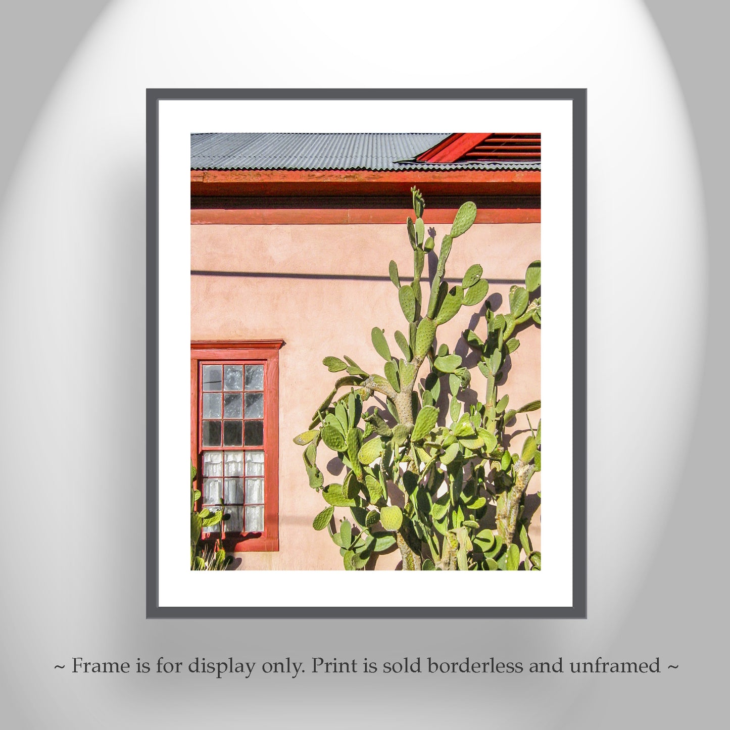 Tucson Barrio Cactus Wall Art | Old Pueblo Adobe Southwest Decor Print