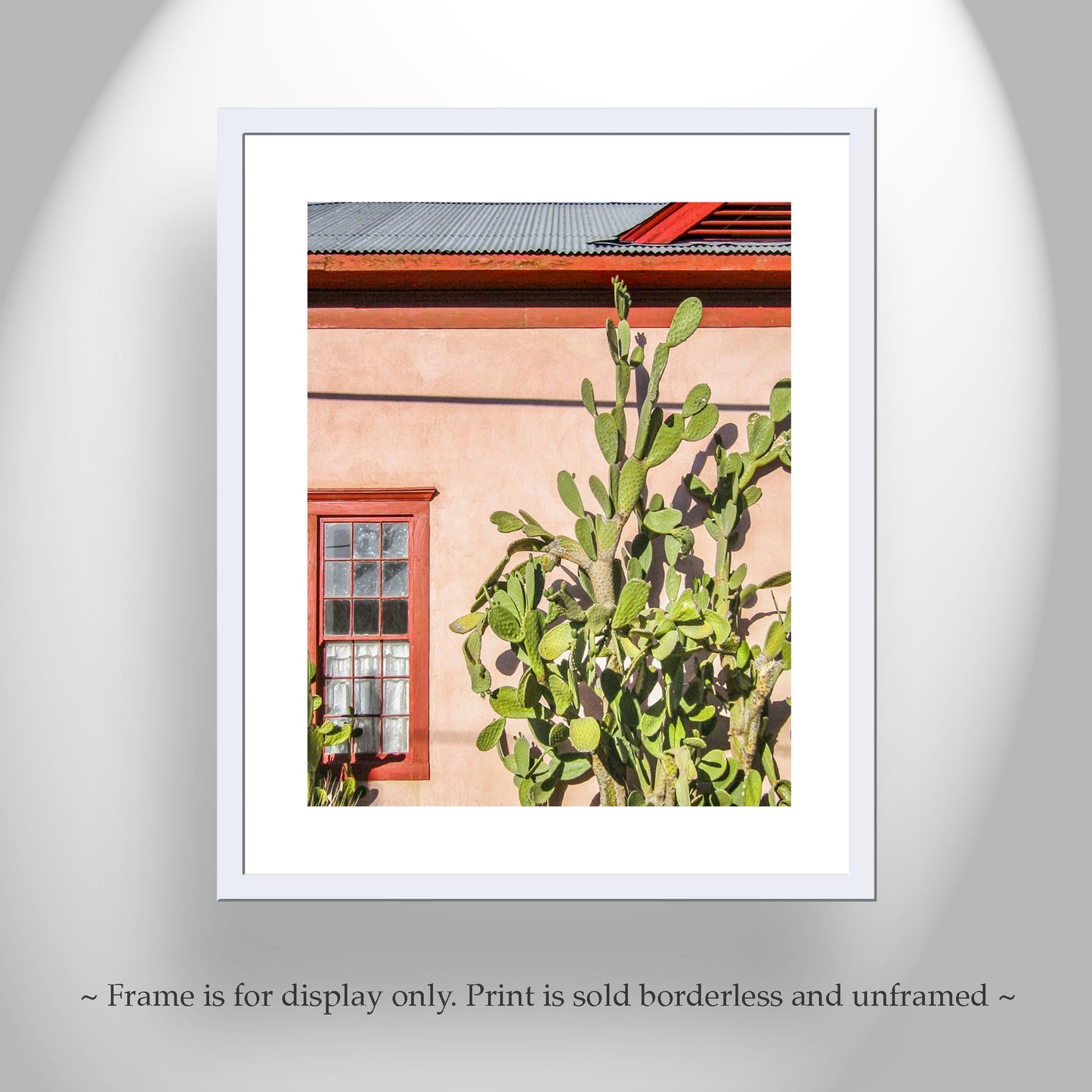 Tucson Barrio Cactus Wall Art | Old Pueblo Adobe Southwest Decor Print