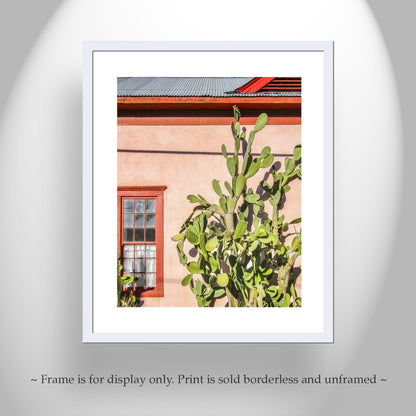 Tucson Barrio Cactus Wall Art | Old Pueblo Adobe Southwest Decor Print
