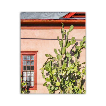 Tucson Barrio Cactus Wall Art | Old Pueblo Adobe Southwest Decor Print