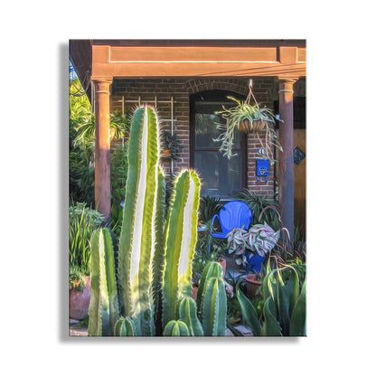 Cactus plants in a garden with a building in the background. Vintage Tucson Barrio Viejo Wall Art with Southwest Desert Vibe