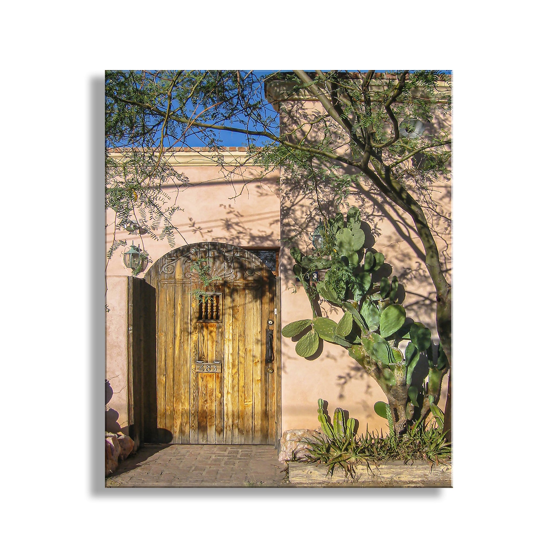 Traditional wooden door with decorative elements on a building exterior, surrounded by greenery. Tucson Arizona Art Print with Vintage Southwestern Adobe Barrio Viejo Door