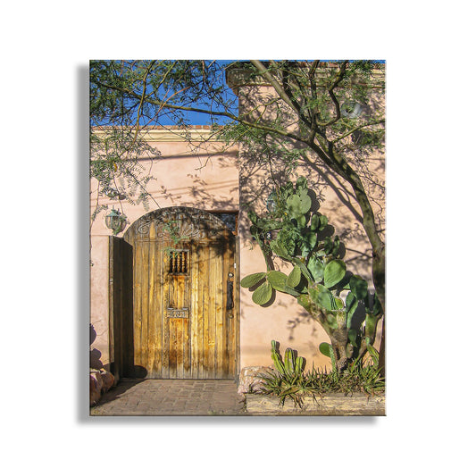 Traditional wooden door with decorative elements on a building exterior, surrounded by greenery. Tucson Arizona Art Print with Vintage Southwestern Adobe Barrio Viejo Door