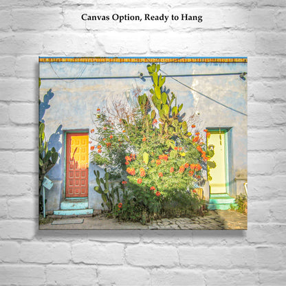 Old Tucson Adobe Architecture Art Print – Southwestern Style Wall Décor | Vintage Arizona Urban Home Décor Gift with Desert Wildflowers