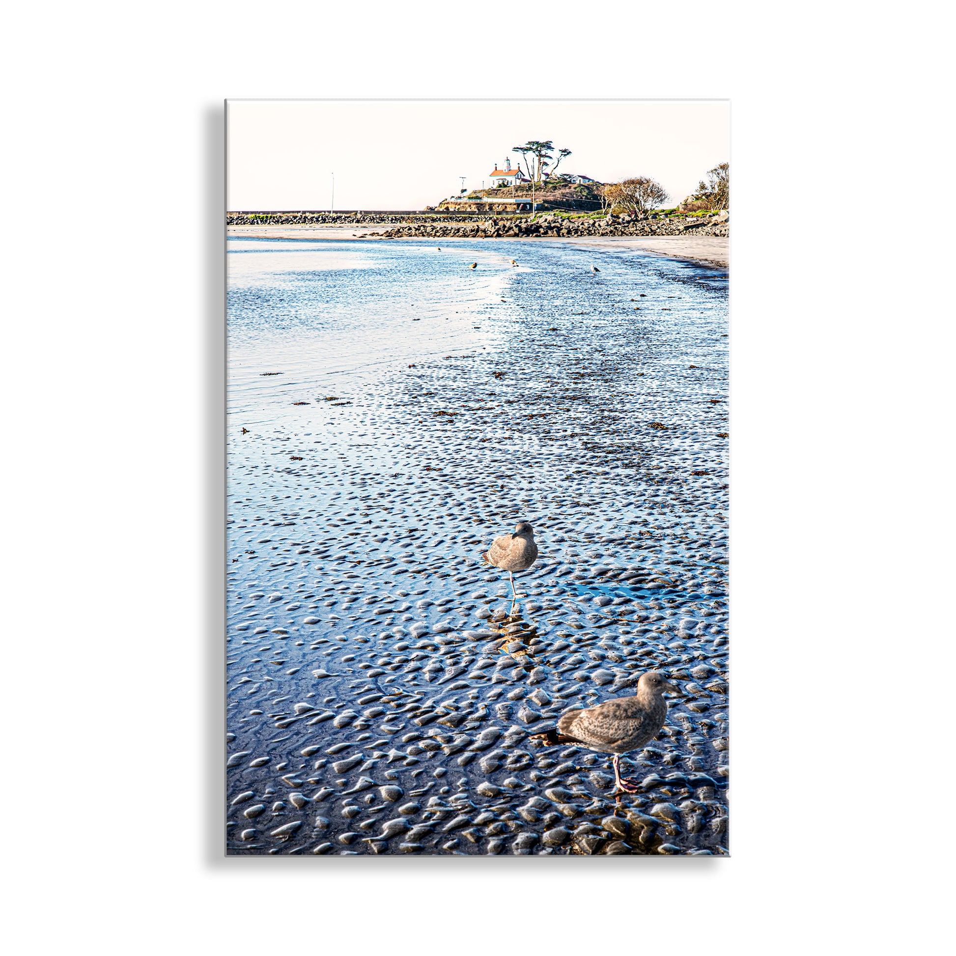 Two seagulls on a beach with a coastal building in the background. Crescent City Beach & Battery Point Lighthouse Art Print | Northern California