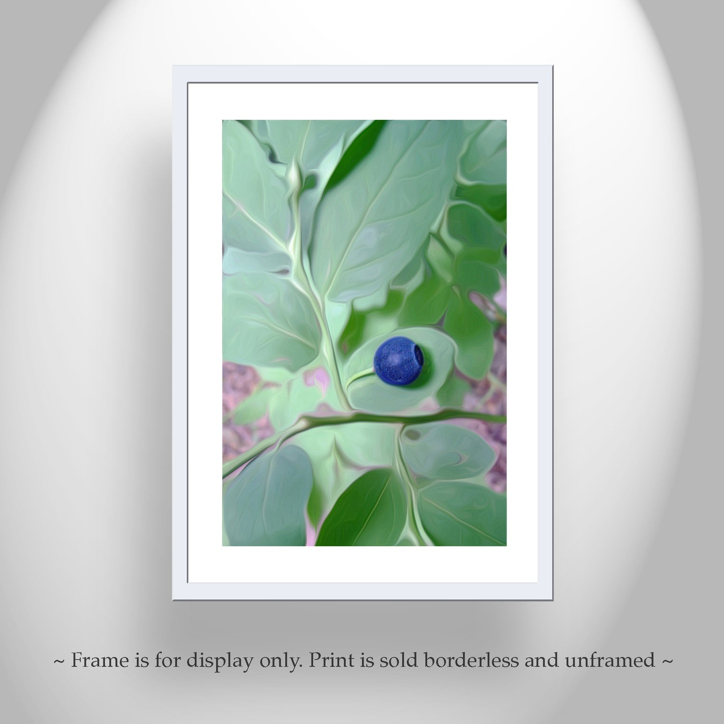 Cascades Forest Nature Photography with Wild Blueberry