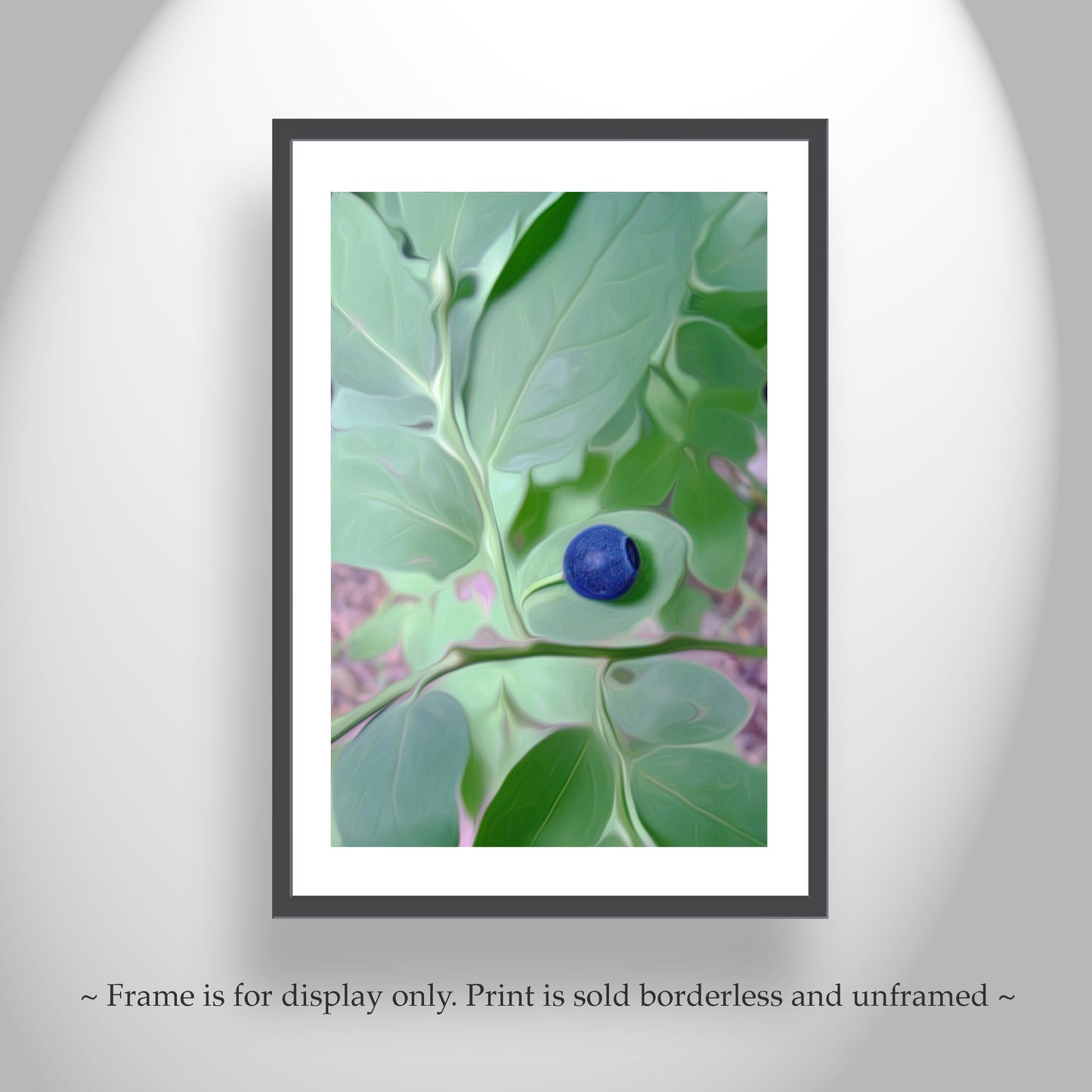 Cascades Forest Nature Photography with Wild Blueberry