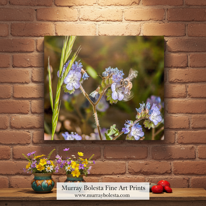 Close-up of a bee on a purple flower with a blurred natural background. Bee and Arivaca Arizona Wildflower Botanical Art | Nature Wall Decor by Murray Bolesta