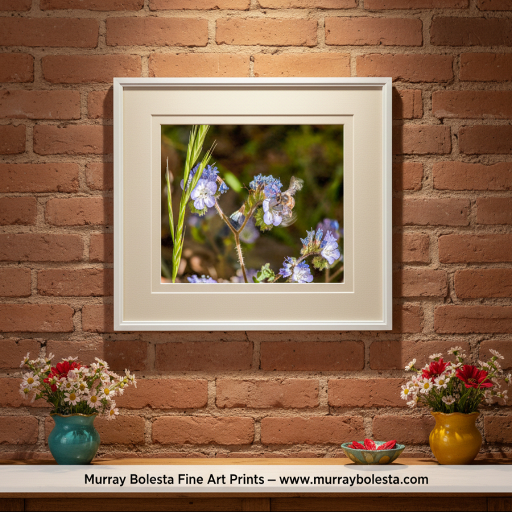 Close-up of a bee on a purple flower with a blurred natural background. Bee and Arivaca Arizona Wildflower Botanical Art | Nature Wall Decor by Murray Bolesta