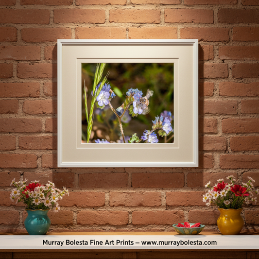 Close-up of a bee on a purple flower with a blurred natural background. Bee and Arivaca Arizona Wildflower Botanical Art | Nature Wall Decor by Murray Bolesta