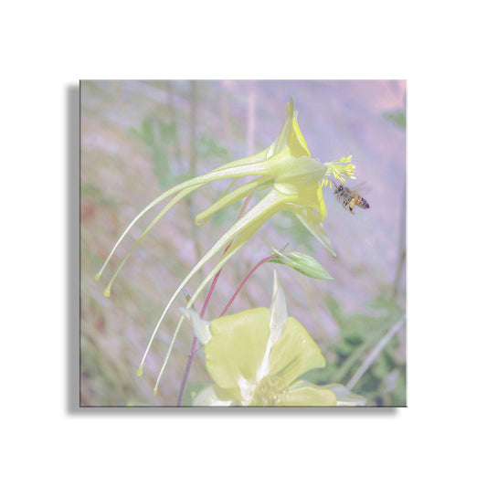 Pastel Nature Art with Wildflower and Bumble Bee