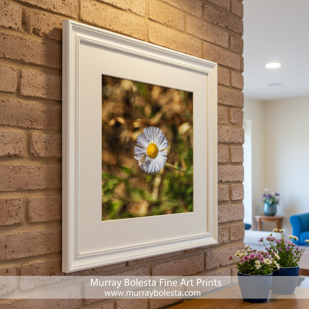 Close-up of a daisy flower with a blurred natural background. Fine Art Nature Photography with Arizona Wildflower and Bumble Bee by Murray Bolesta