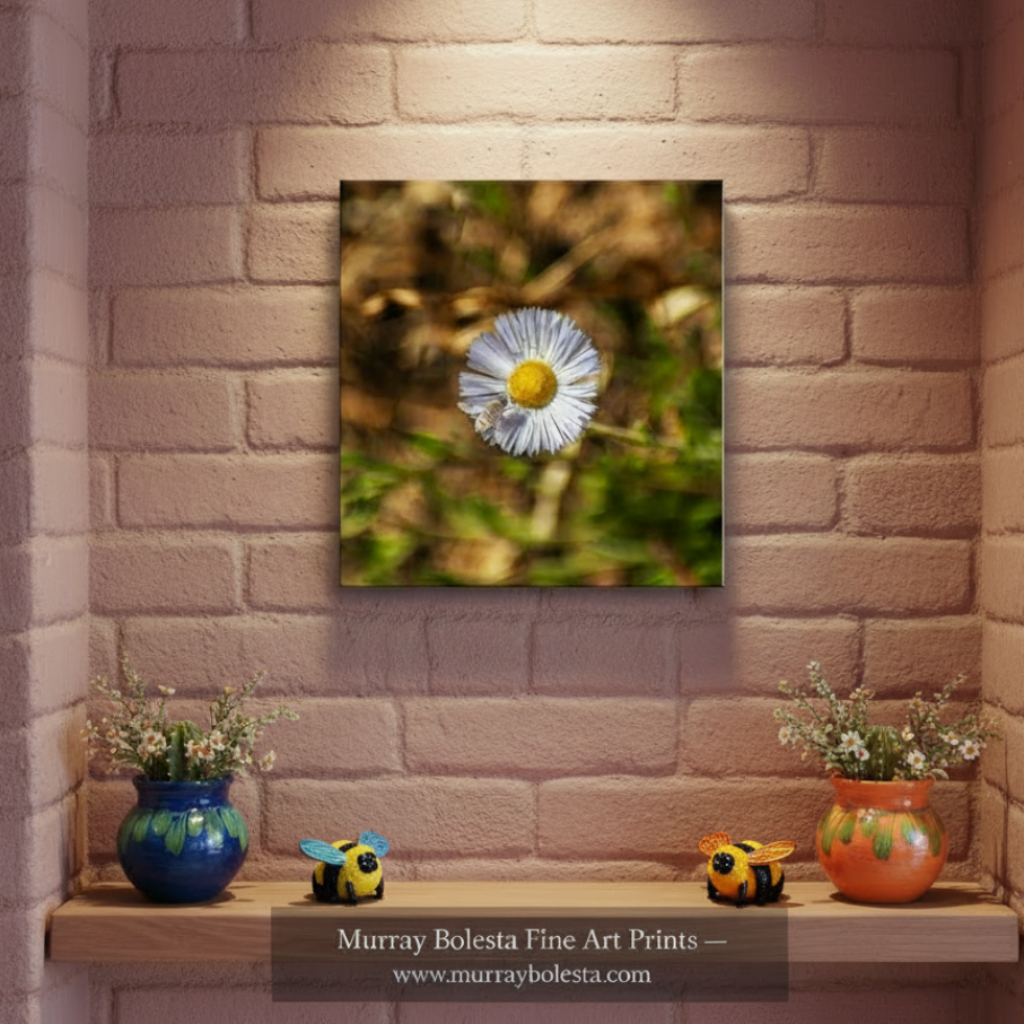 Fine Art Nature Photography with Arizona Wildflower and Bumble Bee