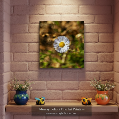 Fine Art Nature Photography with Arizona Wildflower and Bumble Bee
