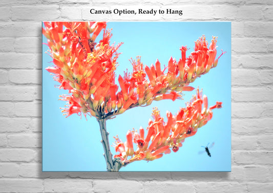 Ocotillo Wildflower with Bumble Bee as Arizona Desert Nature Photo