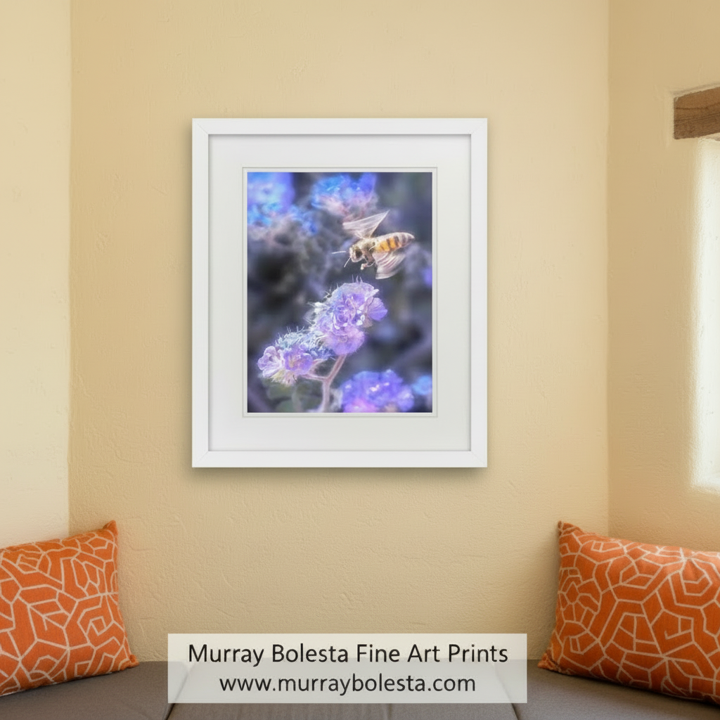 Canvas print of a bee on a flower with a blue and purple abstract background. Bee Nature Art Print with Tucson Arizona Desert Phacelia Wildflower by Murray Bolesta
