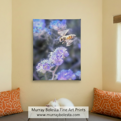 Bee on Phacelia Wildflower - Arizona Desert Nature Print