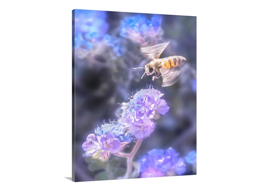 Canvas print of a bee on a flower with a blue and purple abstract background. Bee Nature Art Print with Tucson Arizona Desert Phacelia Wildflower