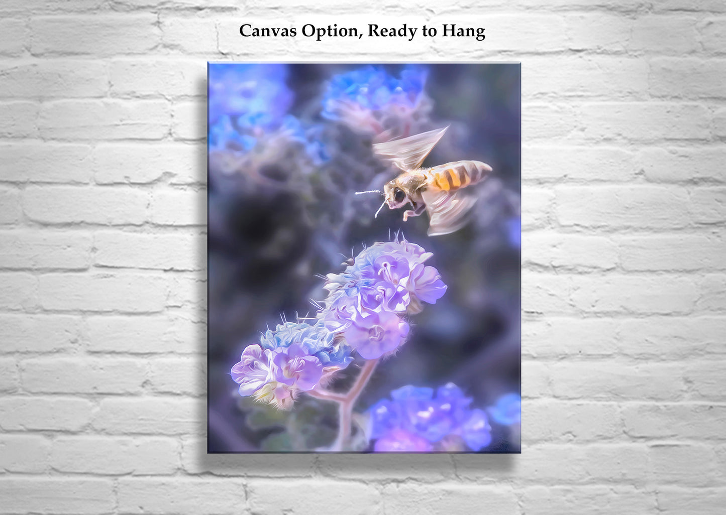 Bee on Phacelia Wildflower - Arizona Desert Nature Print