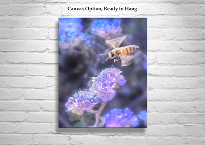 Bee on Phacelia Wildflower - Arizona Desert Nature Print