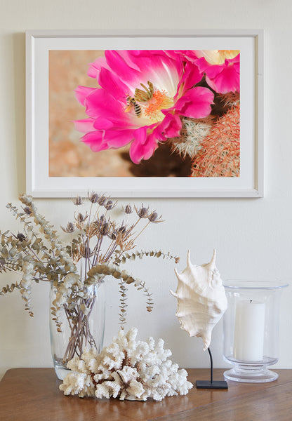 Bee Photograph with Cactus Flower in Southern Arizona Desert
