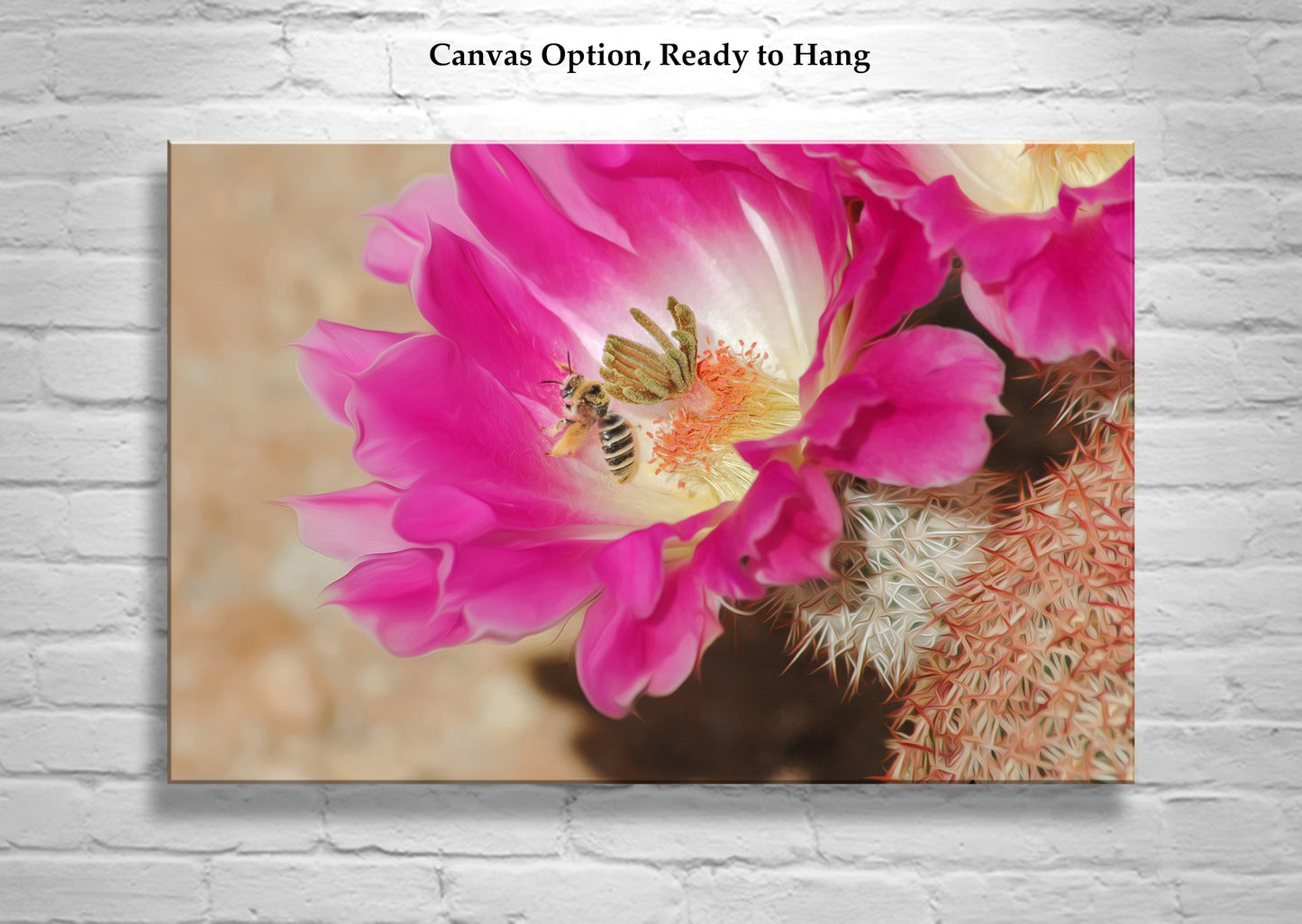 Bee Photograph with Cactus Flower in Southern Arizona Desert