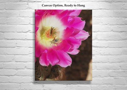 Bee and Cactus Flower Nature Wall Decor in Southwest USA Desert