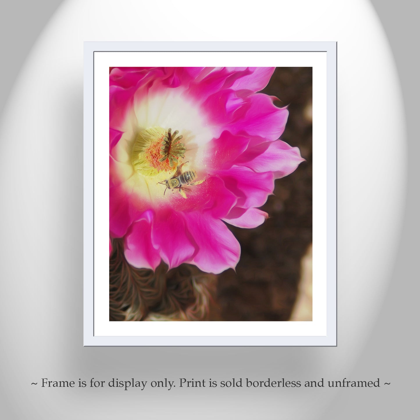 Bee and Cactus Flower Nature Wall Decor in Southwest USA Desert