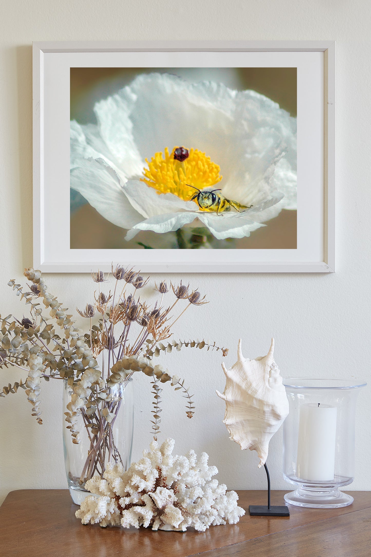 Bumble Bee on Prickly Poppy | Fine Art Arizona Desert Nature Print