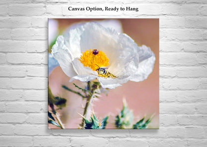 Tucson Arizona Wildflower Art with Prickly Poppy and Sonoran Bumble Bee