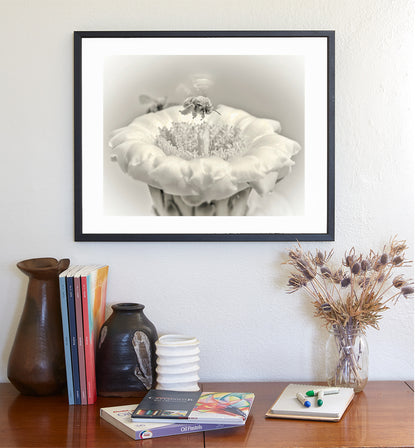Cactus Flower and Bumble Bee Nature Art in Arizona Desert