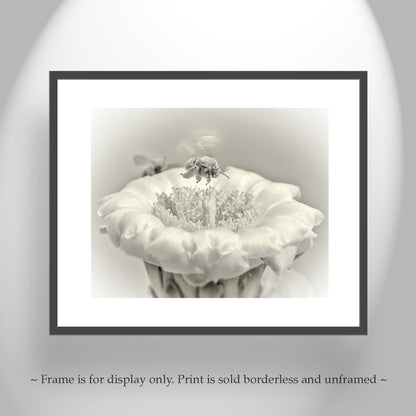 Cactus Flower and Bumble Bee Nature Art in Arizona Desert