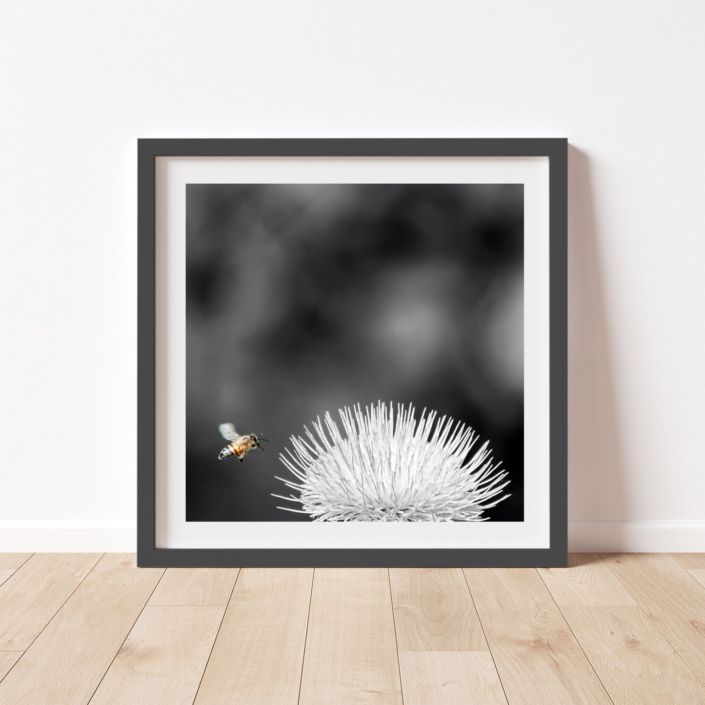 Arizona Thistle Flower & Bumble Bee Black & White Minimalist Art Print