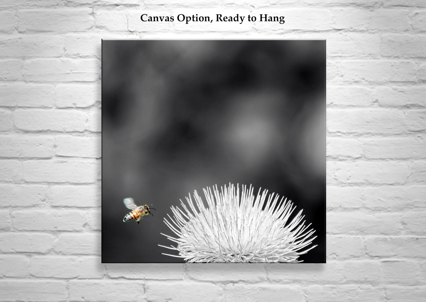 Arizona Thistle Flower & Bumble Bee Black & White Minimalist Art Print