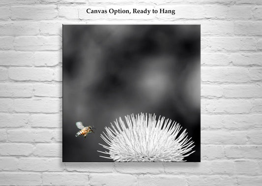 Arizona Thistle Flower & Bumble Bee Black & White Minimalist Art Print