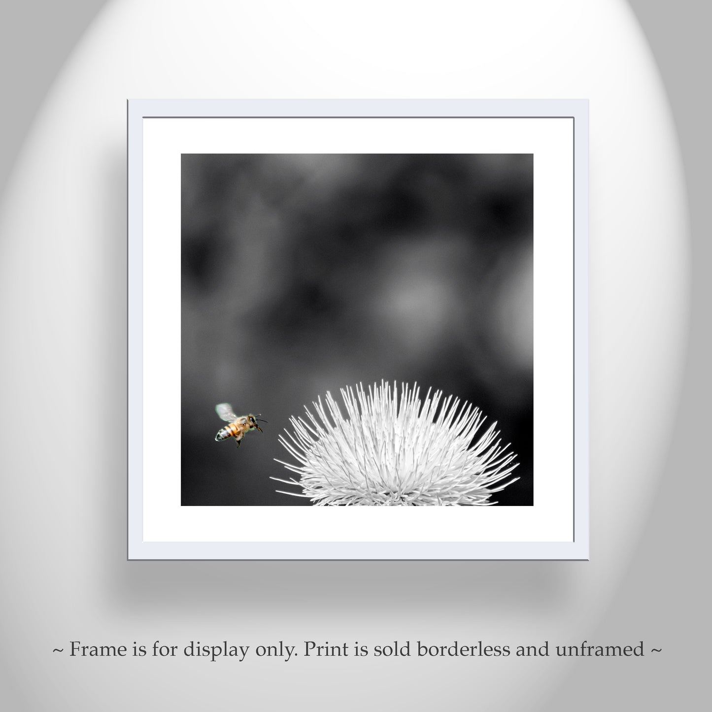 Arizona Thistle Flower & Bumble Bee Black & White Minimalist Art Print