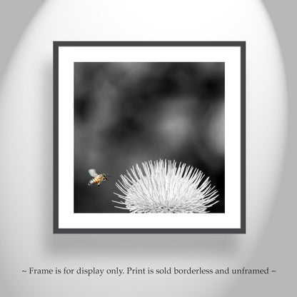 Arizona Thistle Flower & Bumble Bee Black & White Minimalist Art Print