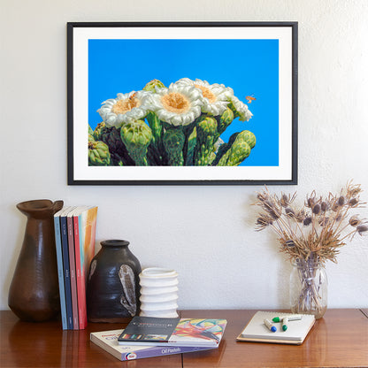 Cactus Flower with Bees in Arizona Desert as Spring Desert Decor
