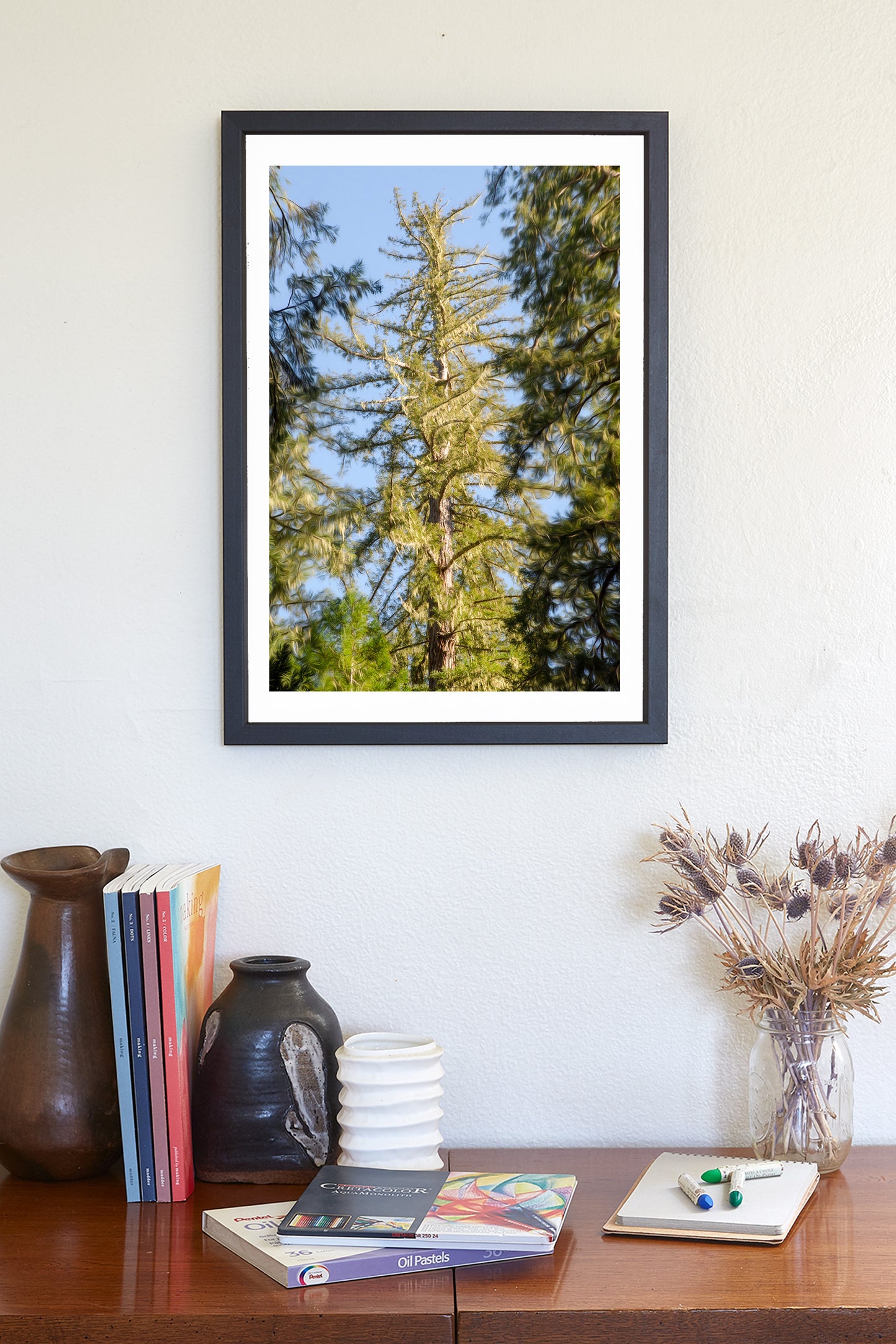 Big Basin California Redwood Forest Photograph | Vertical Wall Art